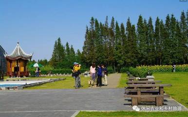 四个休闲农业案例分析,看清规划细节上的成功!_搜狐旅游