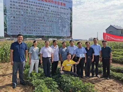 高效生态种养技术观摩培训会在曹县举办【2019年山东农业科技服务(扶贫)月专题】